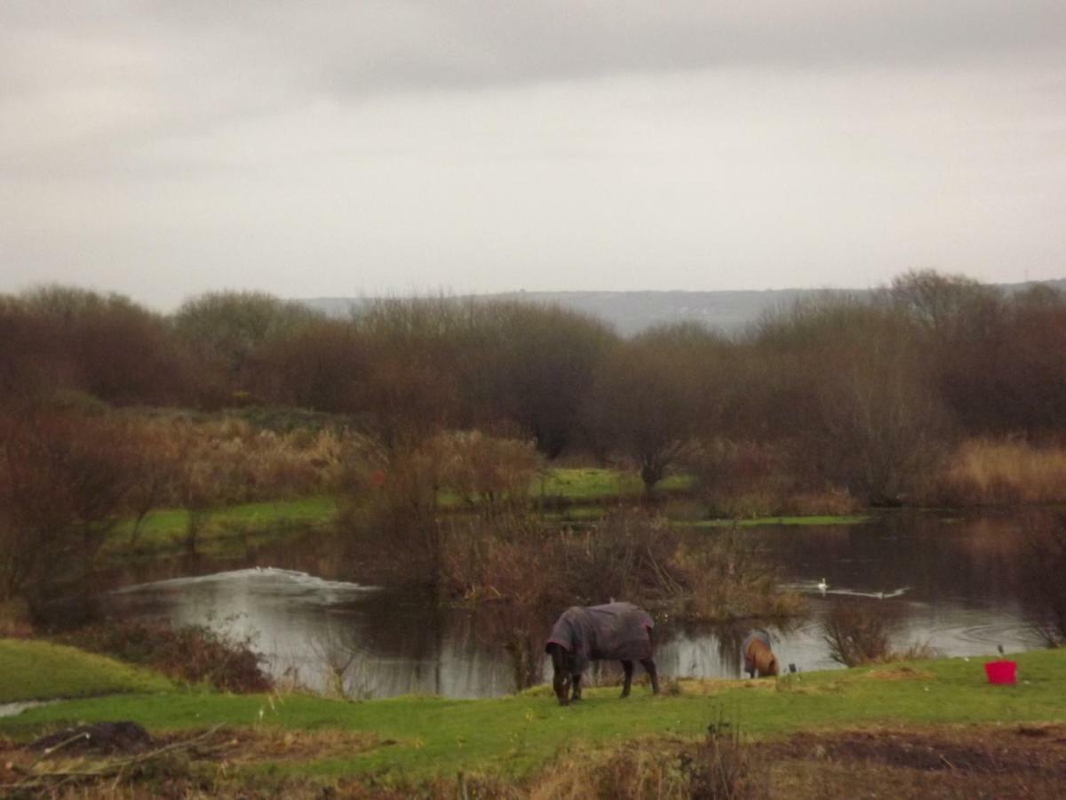 Marsh Water Ponds Fishery Kidwelly Exterior photo