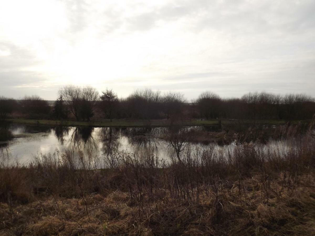 Marsh Water Ponds Fishery Kidwelly Exterior photo