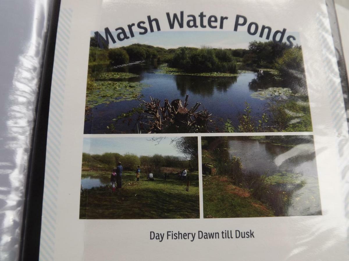 Marsh Water Ponds Fishery Kidwelly Exterior photo